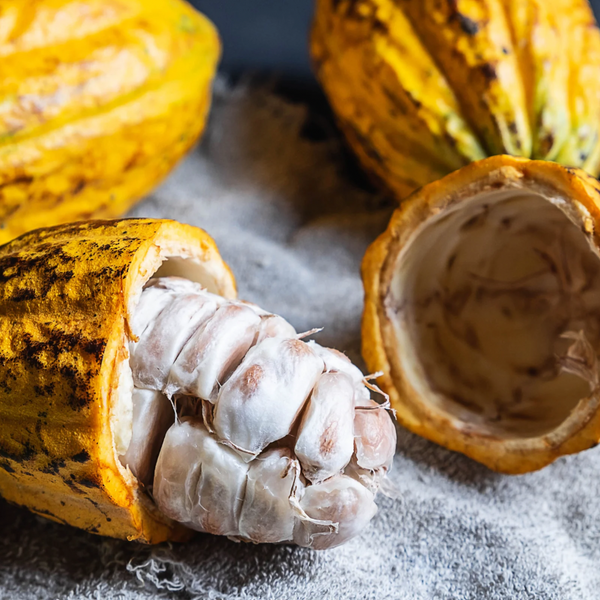 Unveiling the Hidden Wonders: The Marvelous Benefits of Cocoa Butter